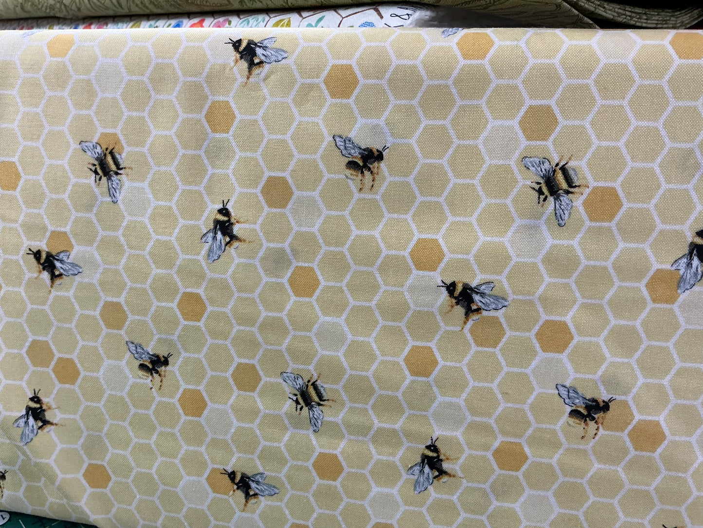 Honeycomb & Bees
