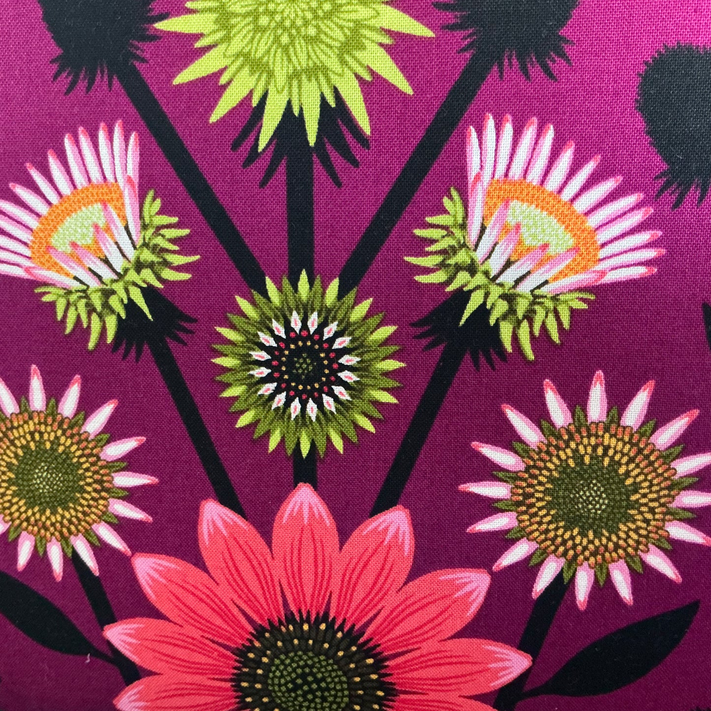 Dahlia on Eggplant. Iconic.AMT
