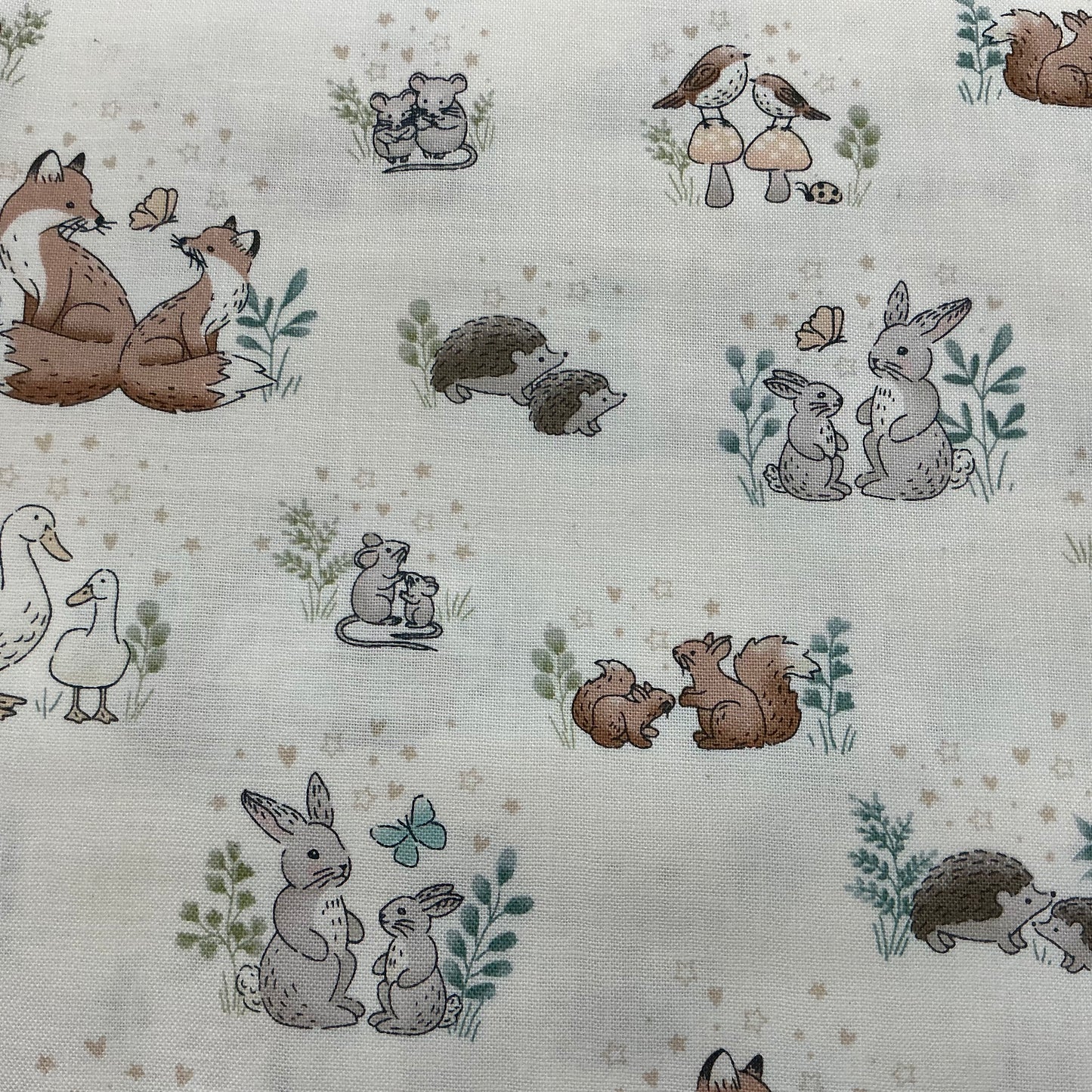 Hugs - Cream - Little Ones