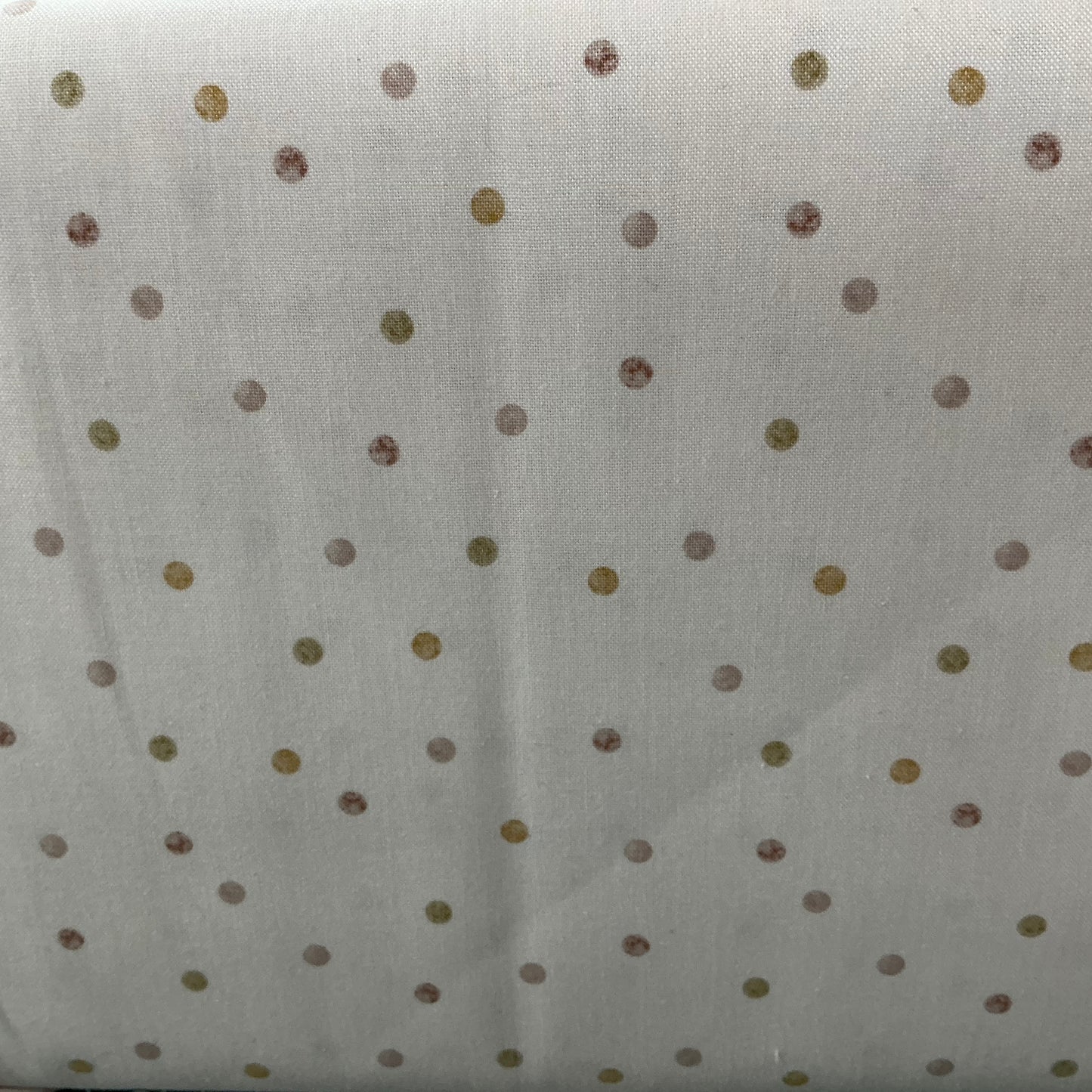 Dots on Cream - Tiny Waddles