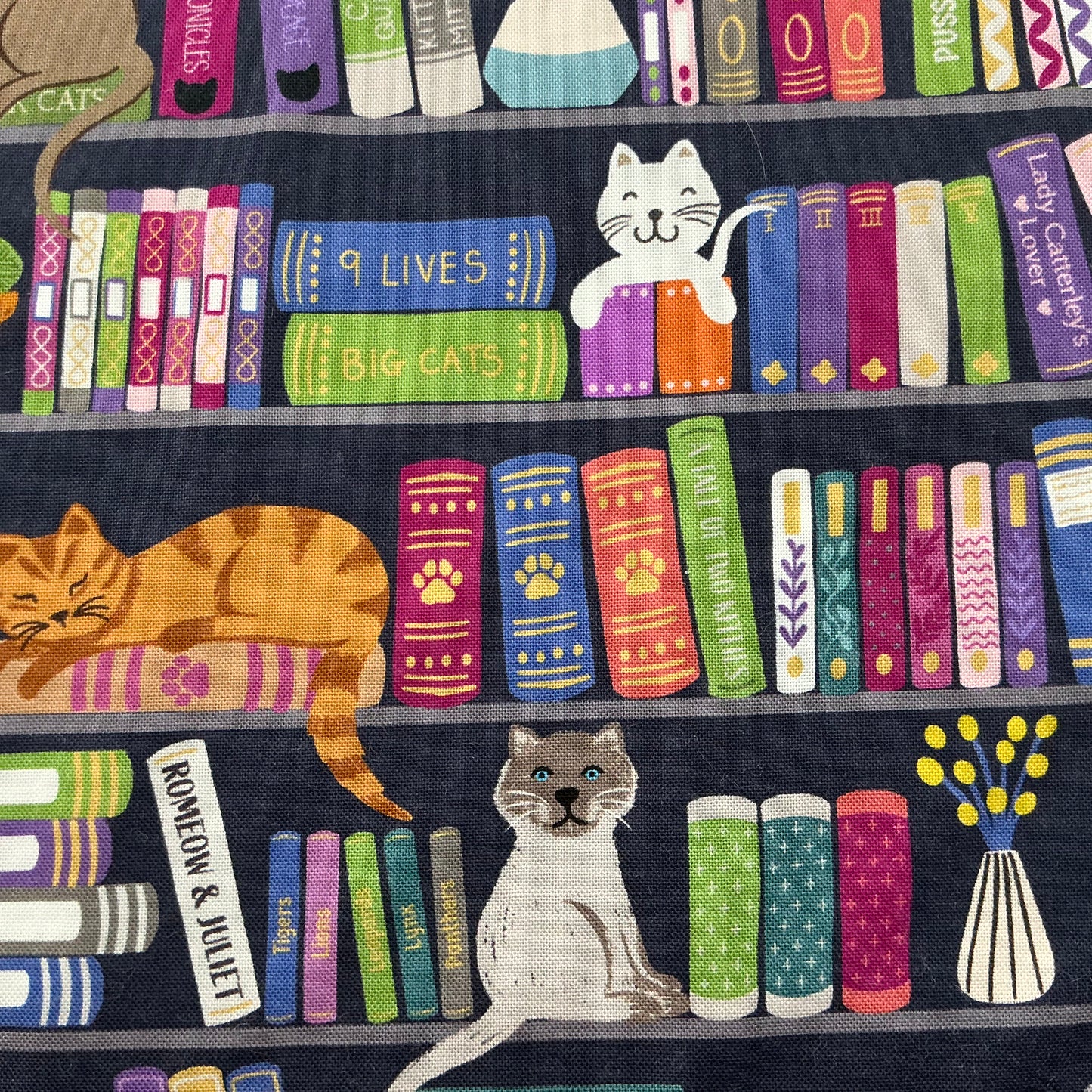 Bookshelves & Cats - Multicoloured