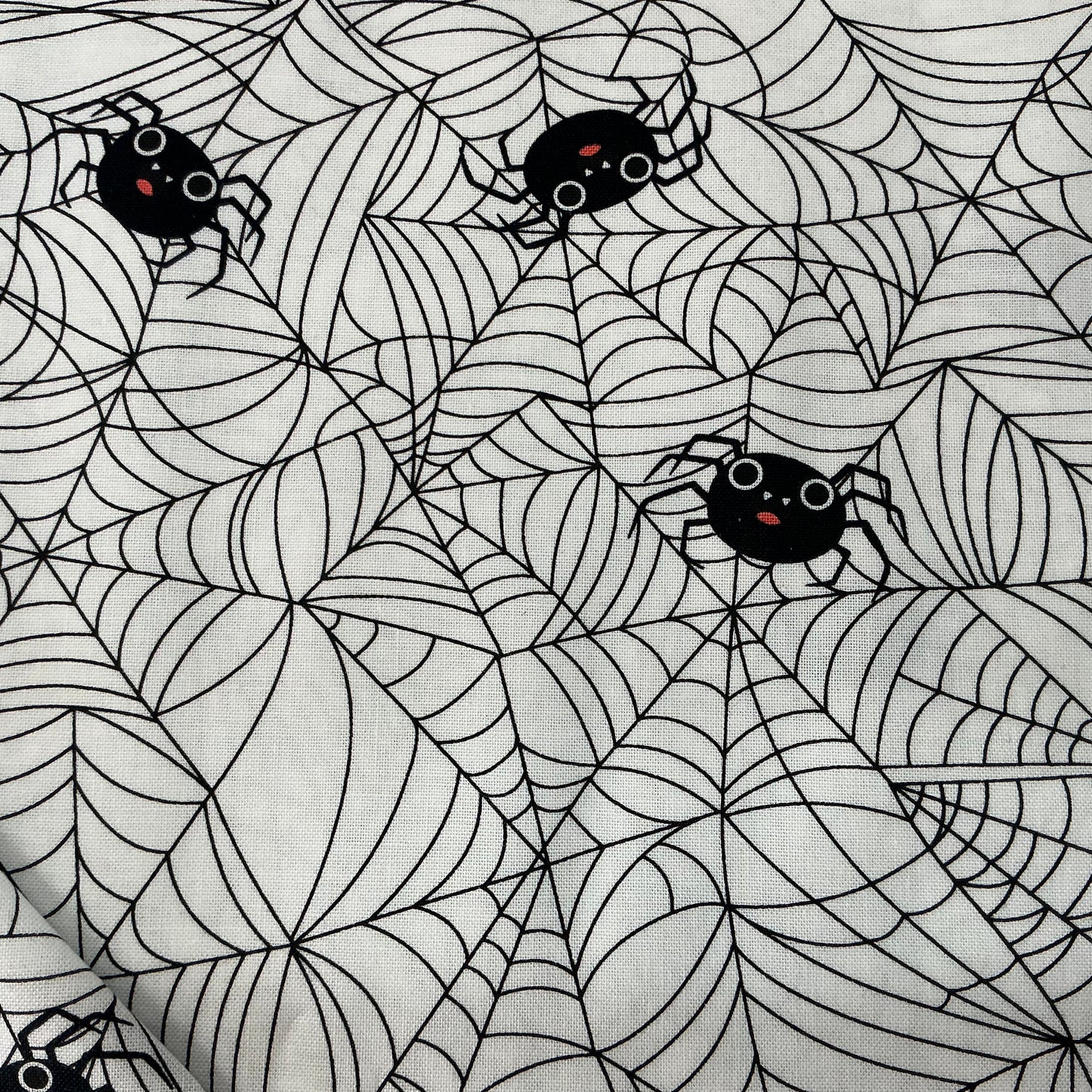 Spiders & Cobwebs on White - Not Scary