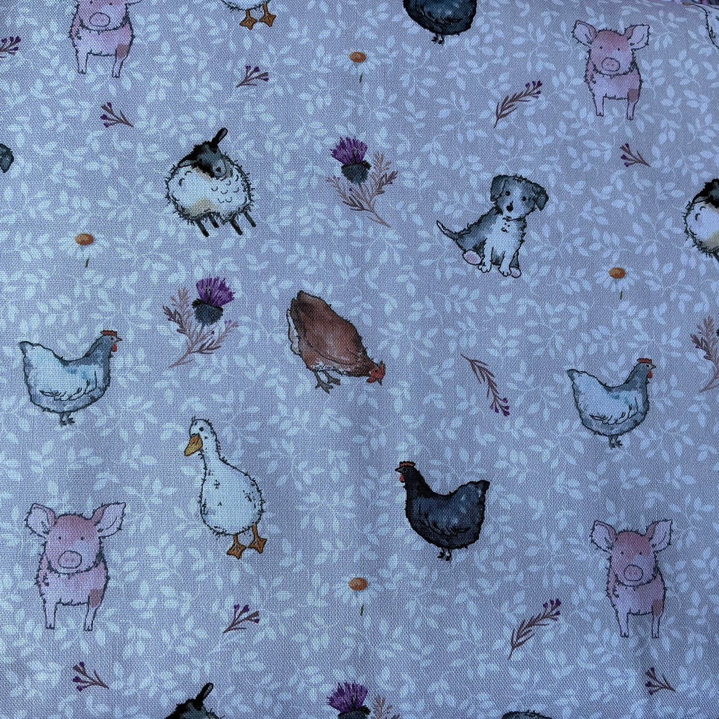Farm Animals- Blackbird Farm