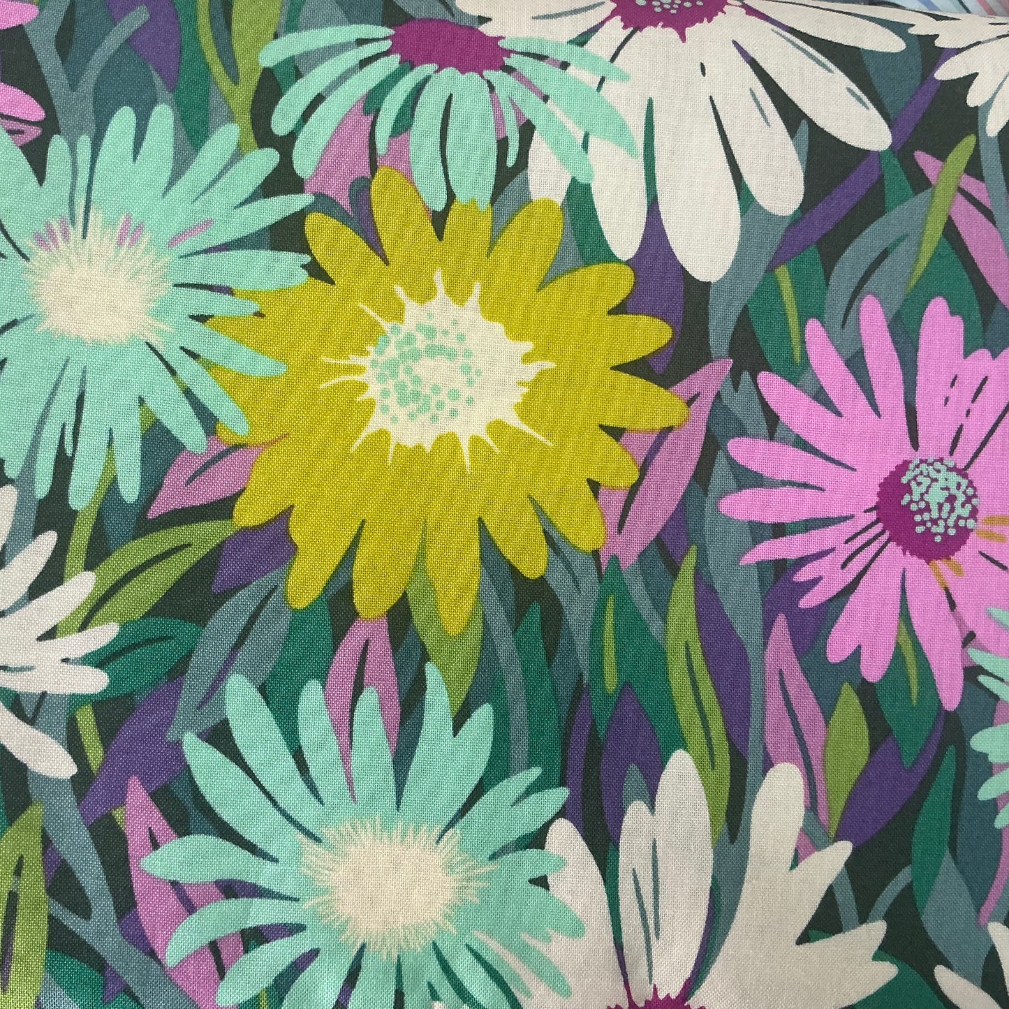 Daisy Crush - Pink, Purple, Green - Midnight