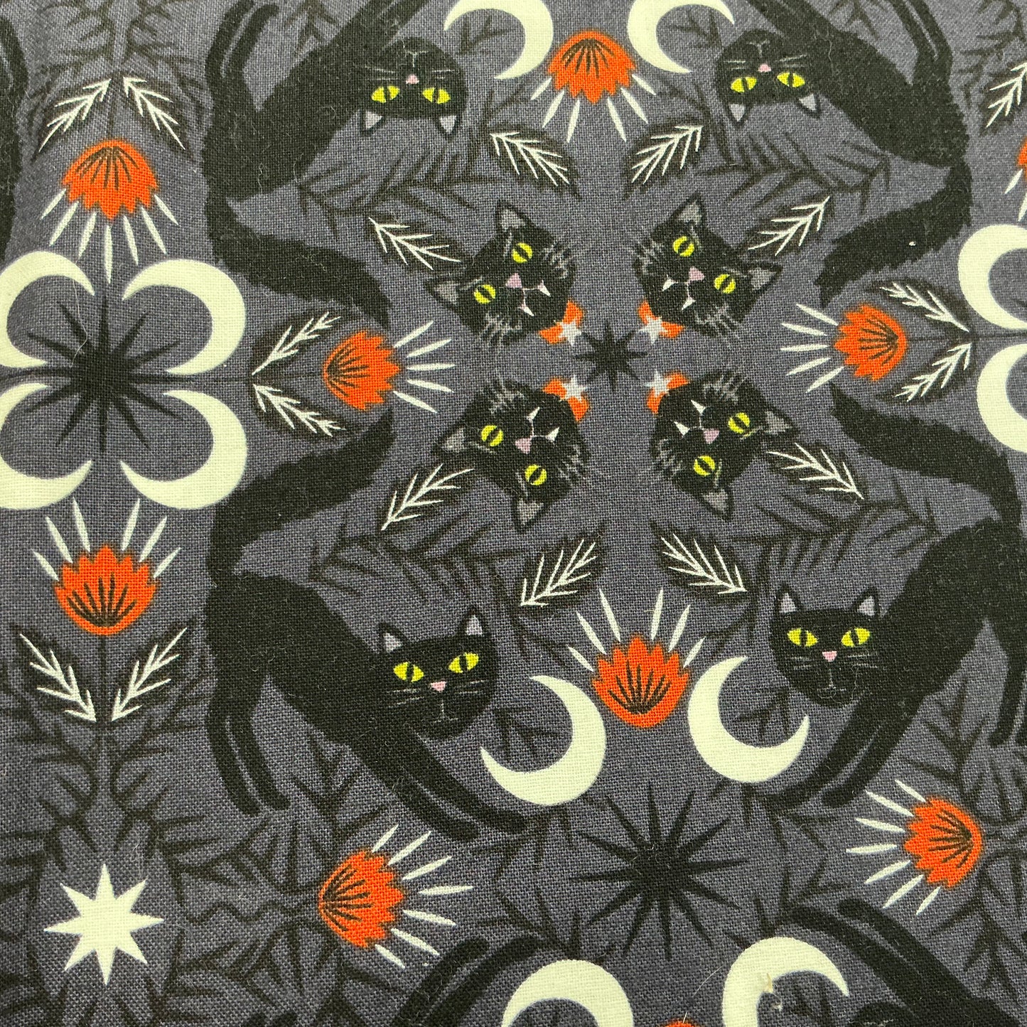 Scaredy Cats - Black - Transylvania Glow (White glows in the Dark!)
