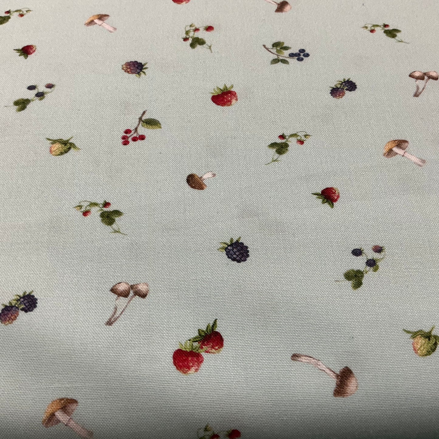 Berries & Toadstools - Blue - Country Mouse
