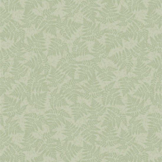 Ferns - Green on Green
