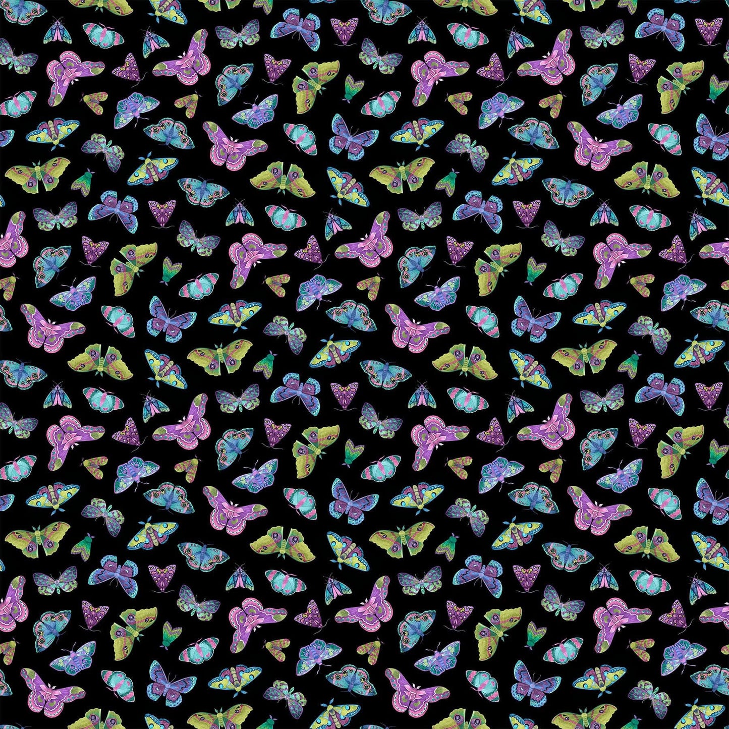 Butterfly (Night) Alison Glass