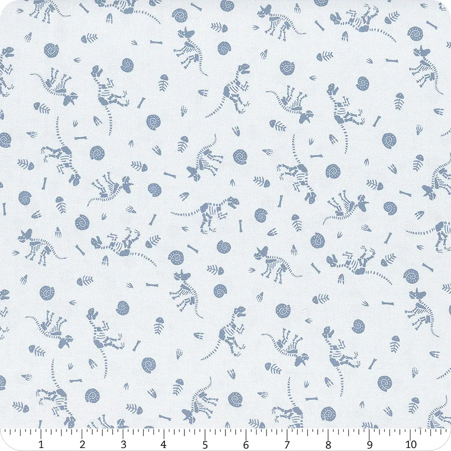 Blue Fossils - Fossil Folks