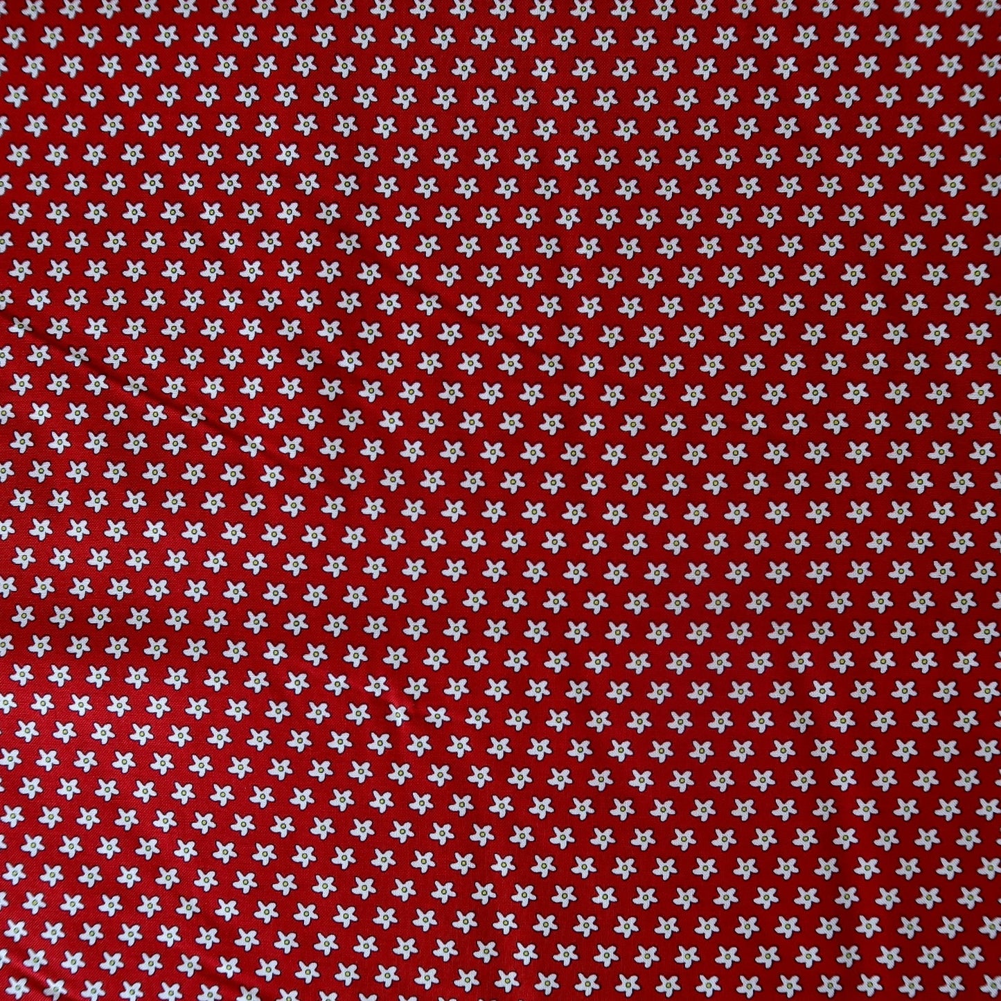 Bobbi'S Picnic Red - Remnant 80cm