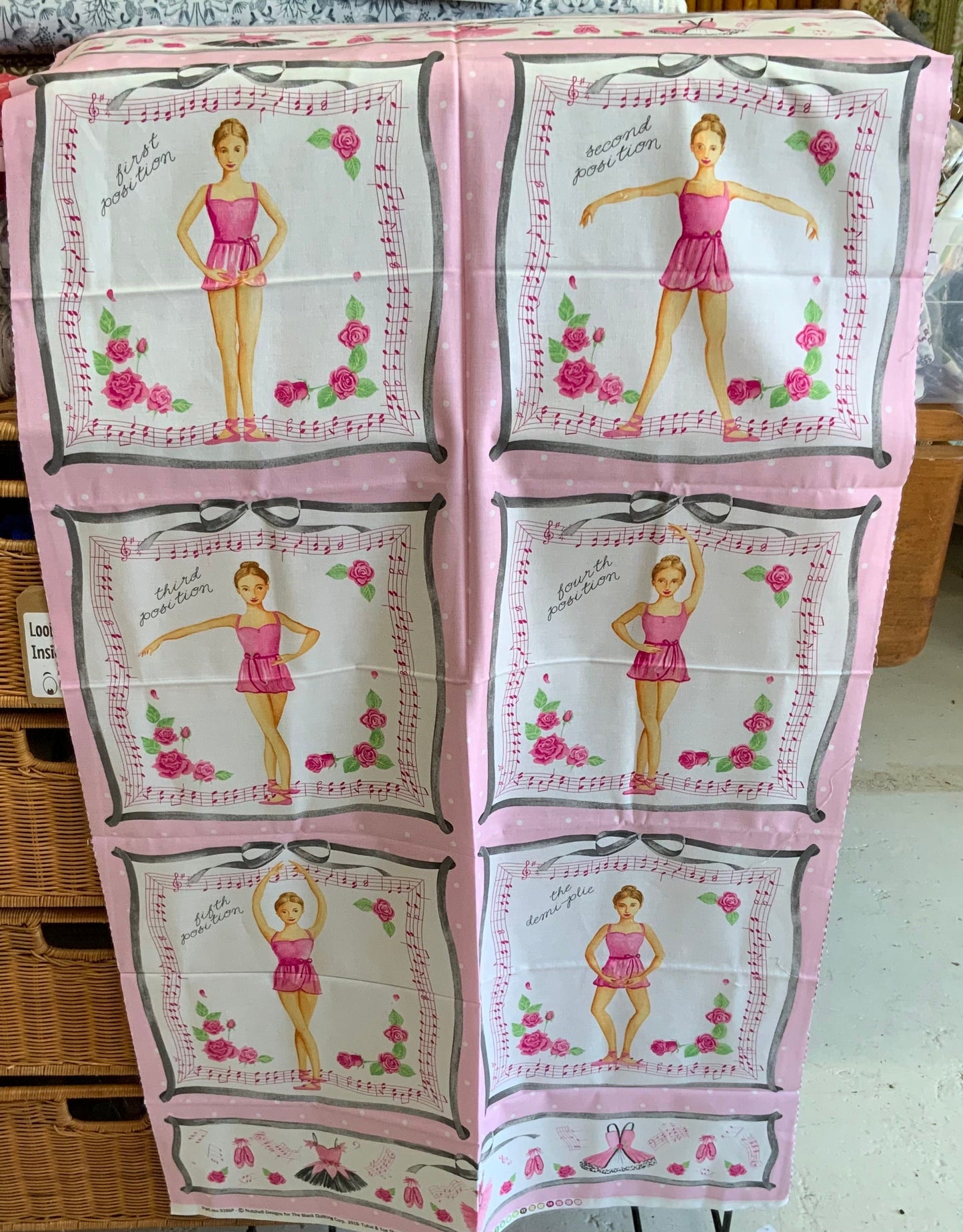 Tutus & Toe Shoes - Ballerinas - Kit