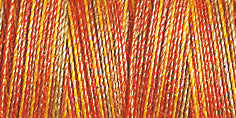 Gutermann Sulky Variegated 30 300M (#4006)