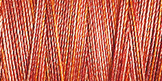 Gutermann Sulky Variegated 30 300M (#4008)