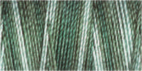 Gutermann Sulky Variegated 30 300M (#4037)