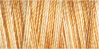 Gutermann Sulky Variegated 30 300M (#4040)