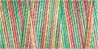 Gutermann Sulky Variegated 30 300M (#4041)