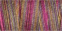 Gutermann Sulky Variegated 30 300M (#4045)