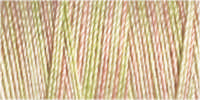 Gutermann Sulky Variegated 30 300M (#4048)