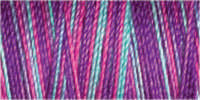 Gutermann Sulky Variegated 30 300M (#4110)