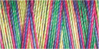 Gutermann Sulky Variegated 30 300M (#4115)