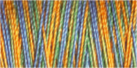 Gutermann Sulky Variegated 30 300M (#4118)