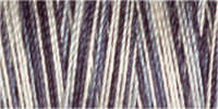 Gutermann Sulky Variegated 30 300M (#4119)