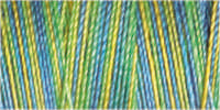 Gutermann Sulky Variegated 30 300M (#4120)