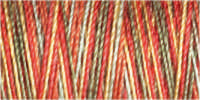 Gutermann Sulky Variegated 30 300M (#4121)