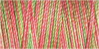 Gutermann Sulky Variegated 30 300M (#4122)