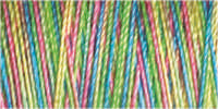 Gutermann Sulky Variegated 30 300M (#4124)