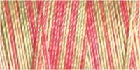 Gutermann Sulky Variegated 30 300M (#4127)