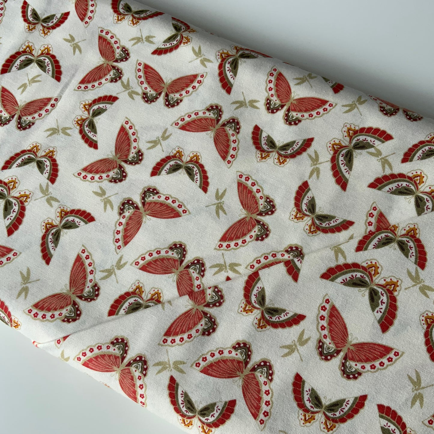 Butterflies And Dragonflies