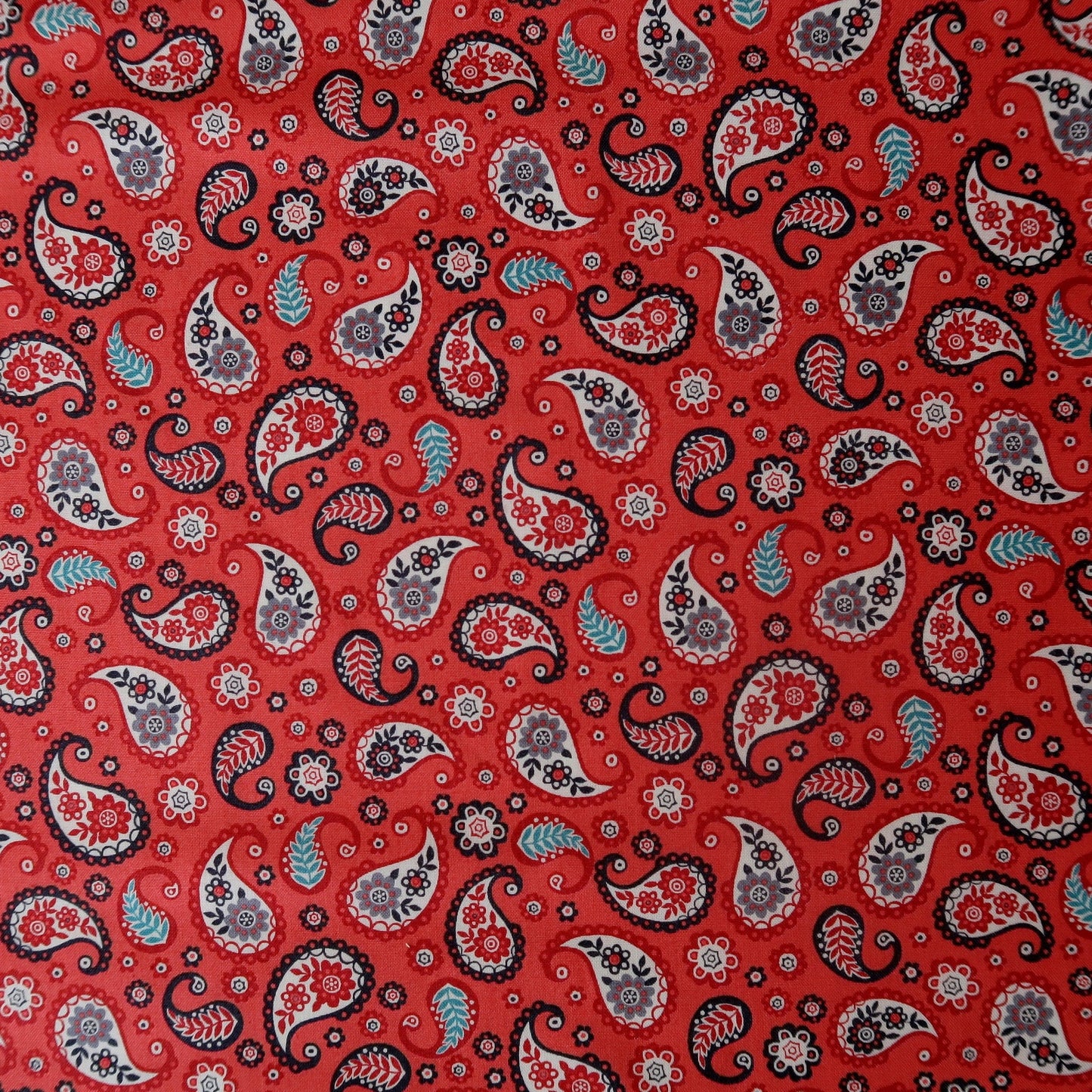 Papillon ….Paisley in Reds