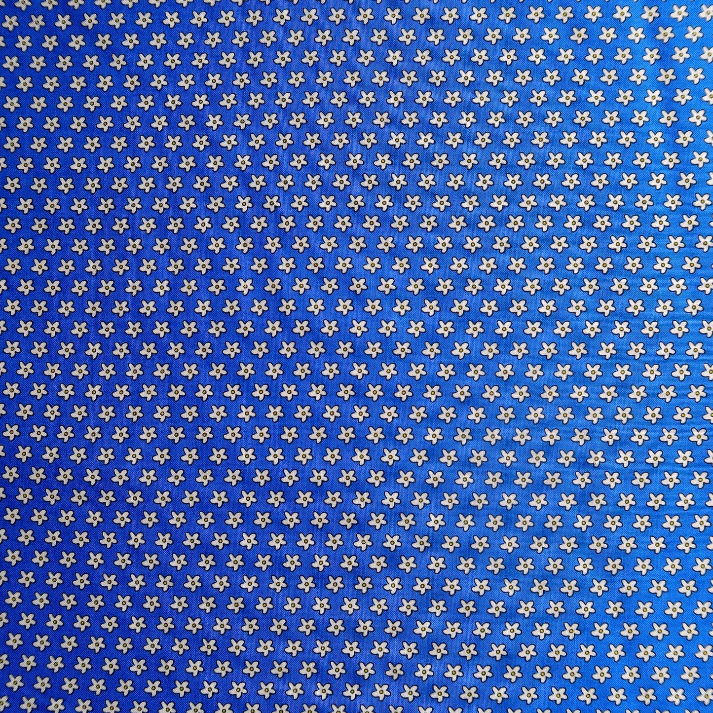 Bobbi'S Picnic Blue