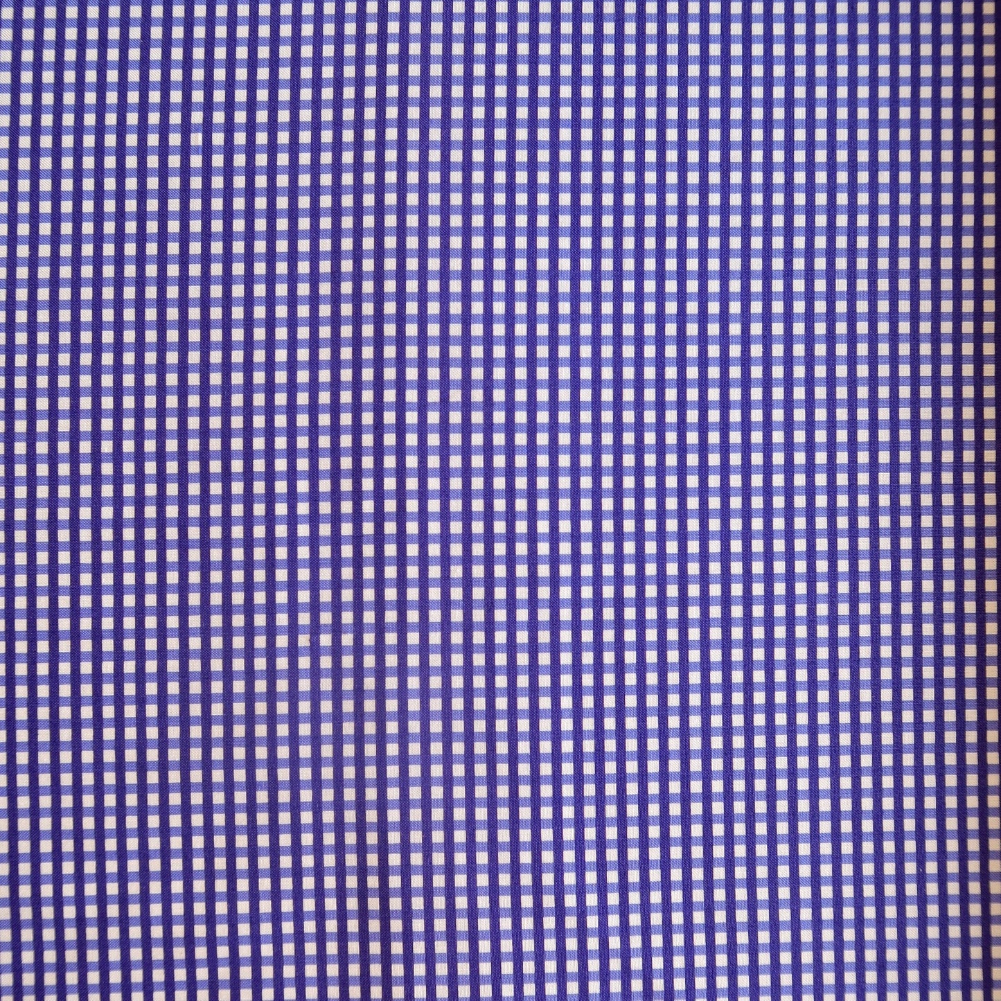 The Queen of the Garden Blue Gingham