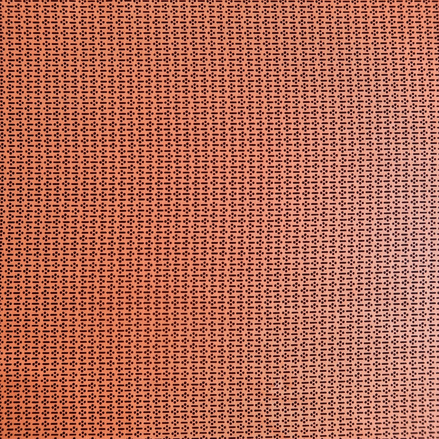 Bonita Peach Lines And Dots