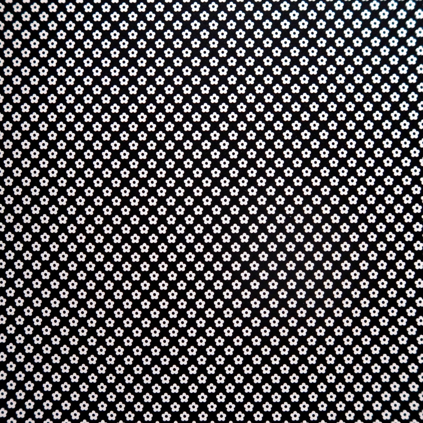 Dot And Dash White Flowers on Black Linear