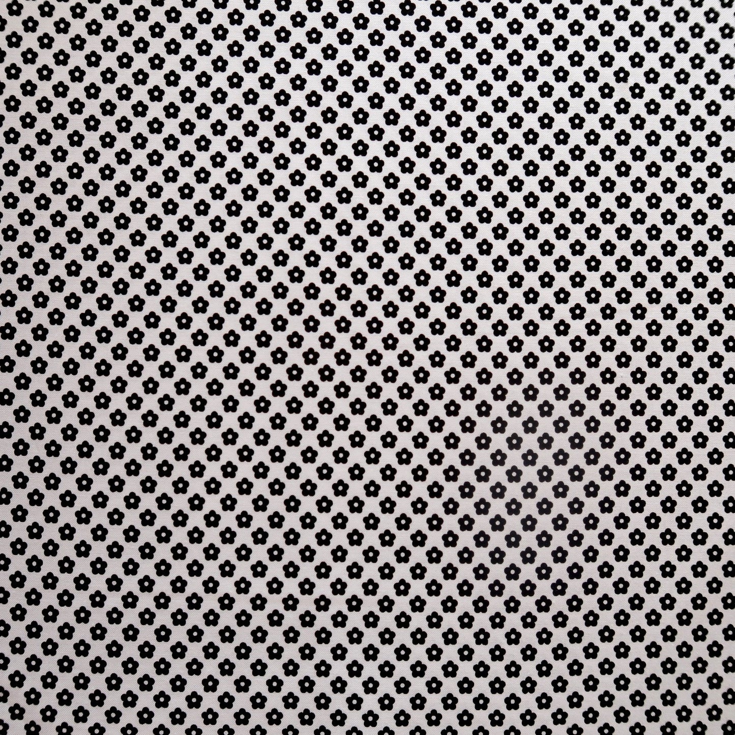 Dot And Dash Black Flowers on White Linear