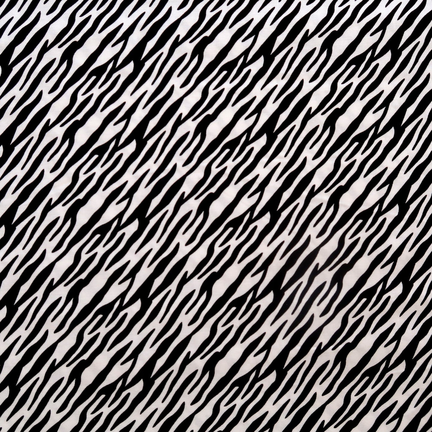 Zebra Print