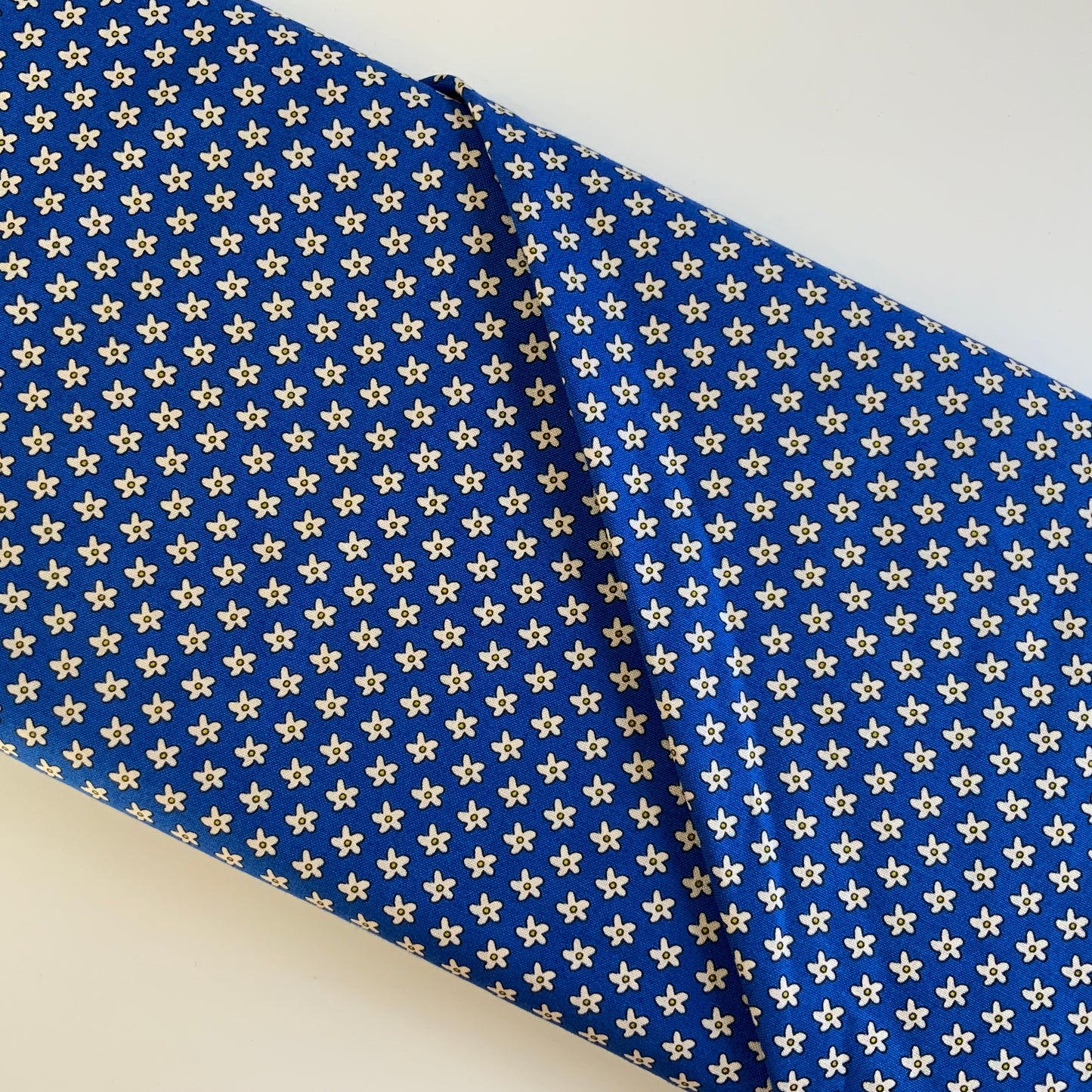 Bobbi'S Picnic Blue
