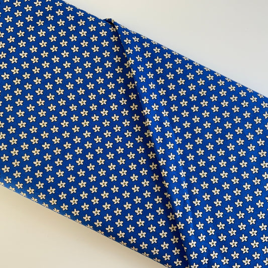 Bobbi'S Picnic Blue