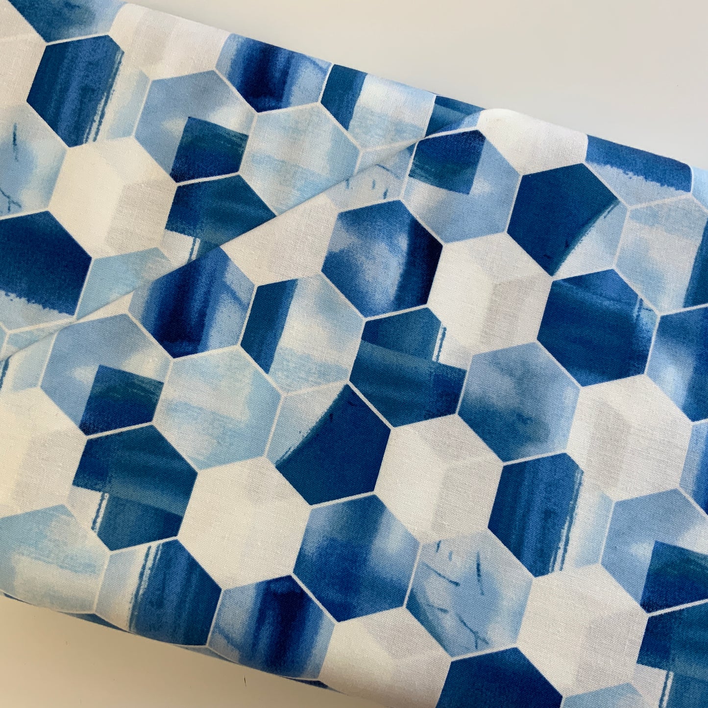 Nature Walk Indigo Hexagons