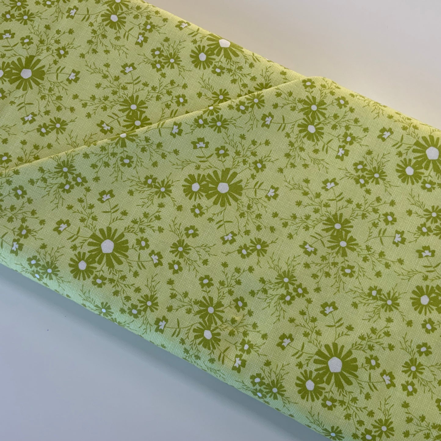 Sunny Side Up Pale Green Flowers