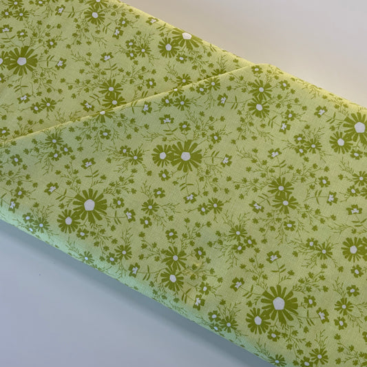 Sunny Side Up Pale Green Flowers