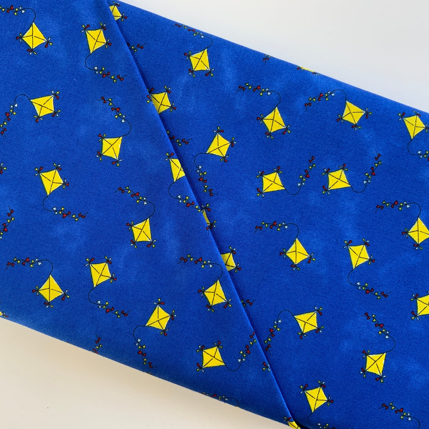 Bobbi'S Picnic Kites Blue