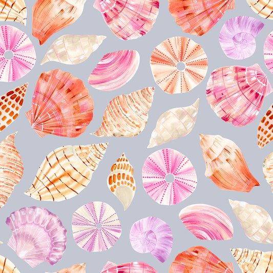 Coral Coast Shells