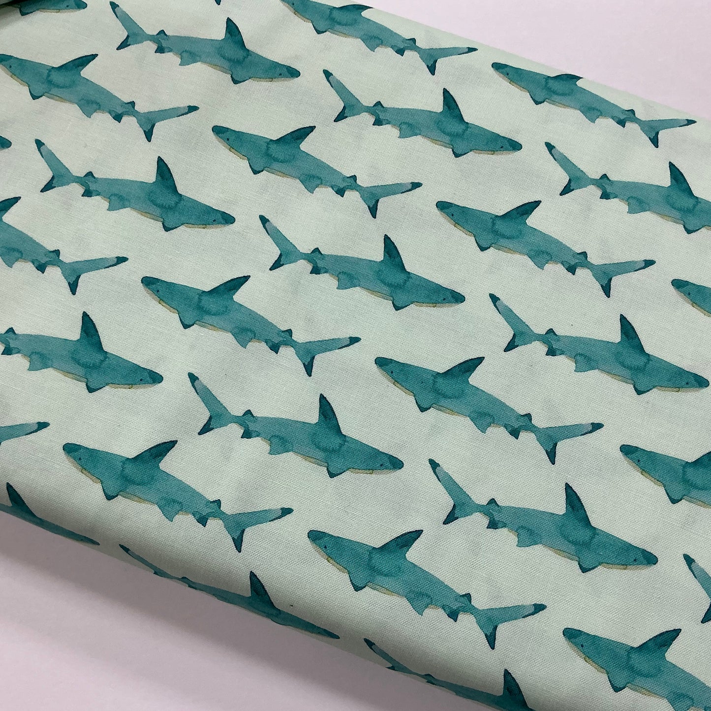 Sharks Aqua