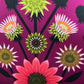 Dahlia on Eggplant. Iconic.AMT