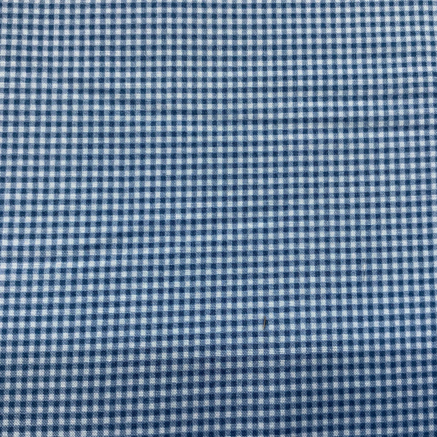 Gingham - Blue - Petite Fleur