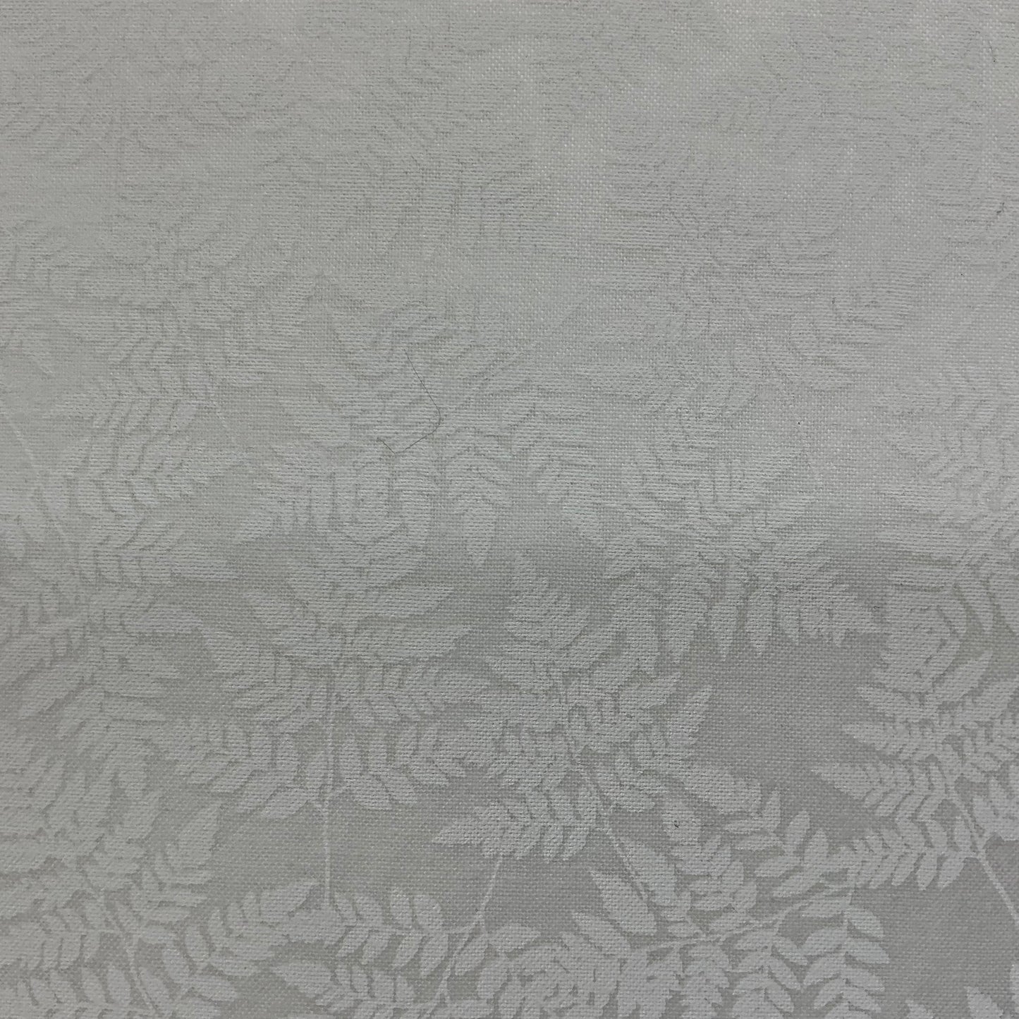 Fern - White on White - Simply Tonal